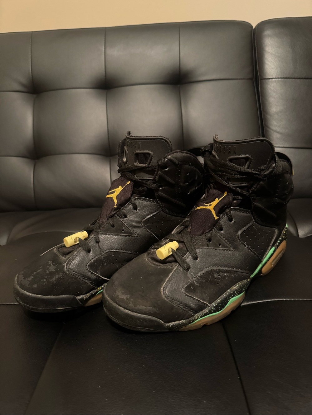 Jordan 6 Brazils